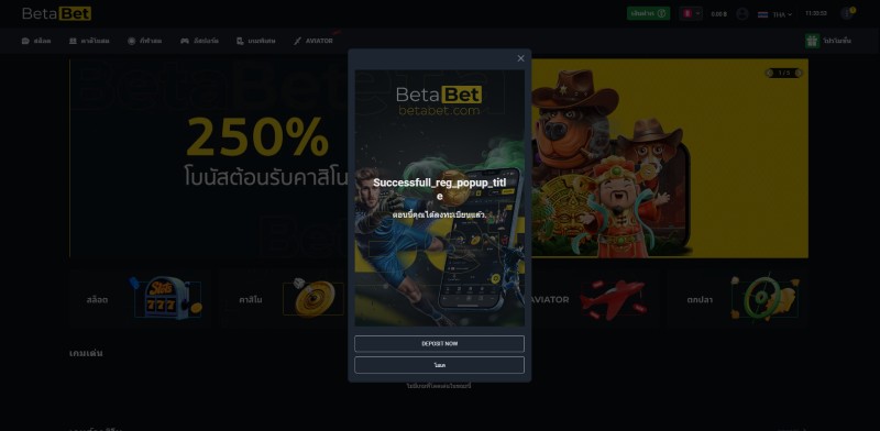 Betabet การขึ้นทะเบียน 3