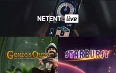 net ent00